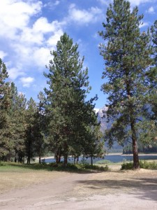 IMG_20120902_145910 - Copy