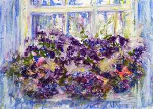 Window box petunias
